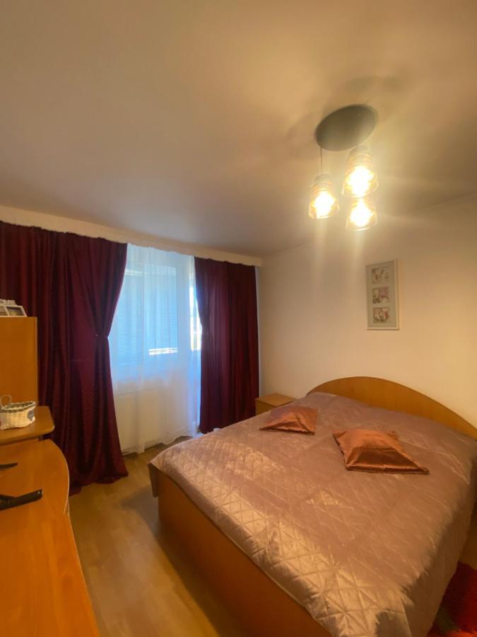 Central Park Studio Piatra Neamţ Dış mekan fotoğraf